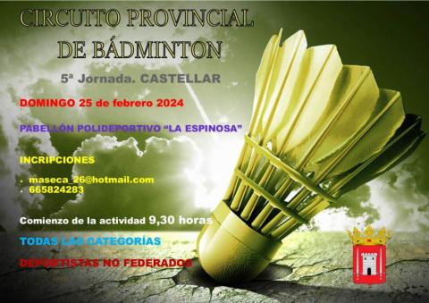Circuito provincial de Bádminton